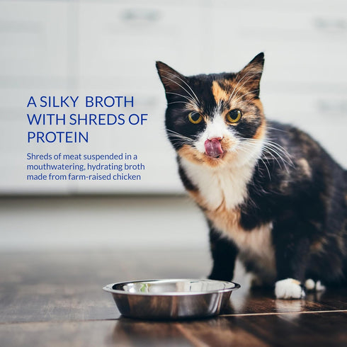 INABA Churu Broth for Cats, Creamy Broth with Shredded Chicken Side Dish Pouch, 1.4 Ounces, 12 Pouches (Chicken &