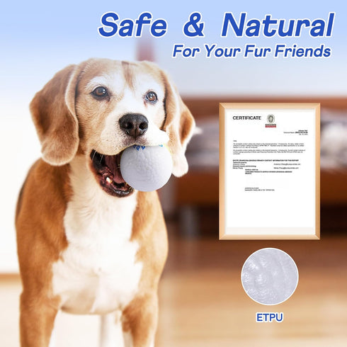 Durable Dog Chew Balls - Indestructible Tennis Balls for Aggressive Chewers - Interactive Bouncy Fetch Toys (2 Balls)