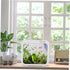 Plastic Aquarium Miniature Kits Small Aquarium Mini Fish Tank Small Aquarium with LED Lighting Fish Battle Box Ecological Landscape Box Desktop Aquarium Decoration LED Creative