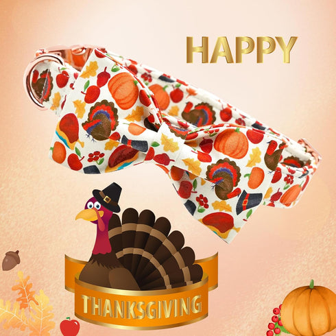 Lionheart Glory Turkey Dog Bow Collar, Bowtie Pet Gift Thanksgiving Collar for Small Dog