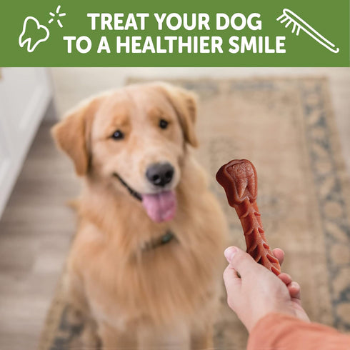 WHIMZEES by Wellness Value Box Natural Dental Chews for Dogs, Long Lasting Treats, Grain-Free, Small Breed, 89 count