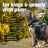 Set DOGGYKINGDOM Personalized Dog Harness and Leash with Seat Belt for Car, No Choke, Reflective, Adjustable Soft