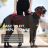 Canny Collar No-Pull Dog Collar - Gentle Head Collar for Dogs, Training Tool for Easier Walking, Purple
