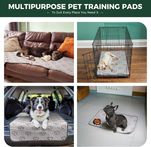 24inch 8 29" 1 Pack FXW Washable Pee Pads for Dogs, Puppy Pads with Super Absorbent, Specifically Designed for FXW