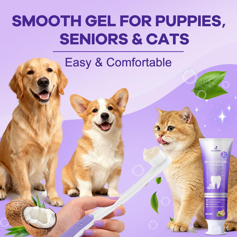 6% 3.52oz nHA Pet Dual-Enzymatic Toothpaste, Sensitive Teeth Care for Dogs & Cats, Remineralizes Enamel & Repairs Early