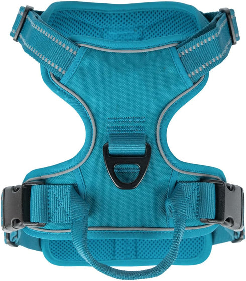 Voyager No Pull Dog Harness for Small Dogs, Adjustable Soft Pet Harness with Dual Leash Attachments, Turquoise Nylon