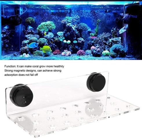 Zerodis Fish Acrylic Coral Bracket Base, Transparent Bracket Holder with 23 Holes for Aquarium Frag Plugs Rack