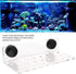 Zerodis Fish Acrylic Coral Bracket Base, Transparent Bracket Holder with 23 Holes for Aquarium Frag Plugs Rack