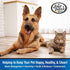 Aloe Ear Mite Treatment for Dogs
