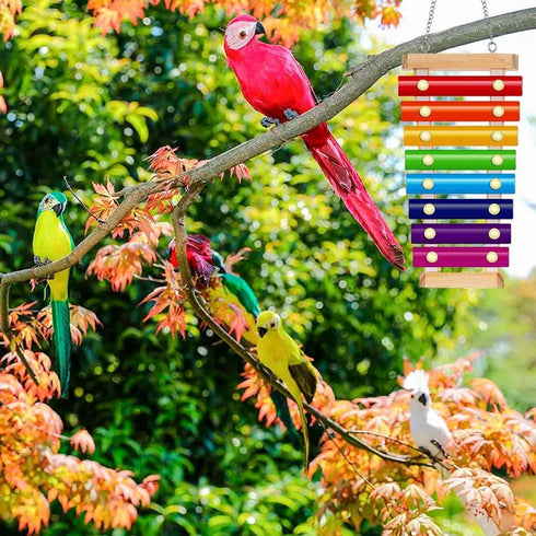 Finch Bird Xylophone with Mirror & Bell Accessories - Musical Training Toy for Conure, Budgie, Cockatiel, Cockatoo