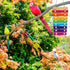 Finch Bird Xylophone with Mirror & Bell Accessories - Musical Training Toy for Conure, Budgie, Cockatiel, Cockatoo