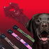 Boss Dog Tactical Leash, 4 Foot, 1.25" Wide in Red