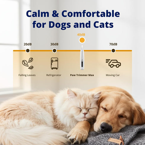 Trimmer Silent Pet Paw | Cordless Shaver for Dogs, Cats, Big & Small Animals with Light | Rechargeable Home and Salon