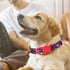Dog Collar for Large Dogs, Cute Heart Patterns, Adjustable Soft Pet Collar for Small Medium Large XL Dog