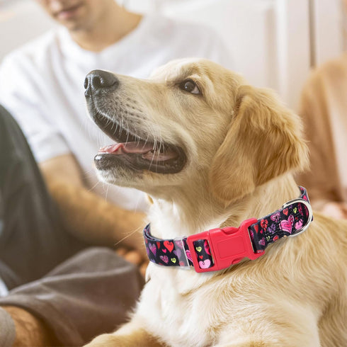 Dog Collar for Small Dogs with Cute Heart Patterns, Adjustable Soft Pet Collar with Safety Buckle for Small Medium