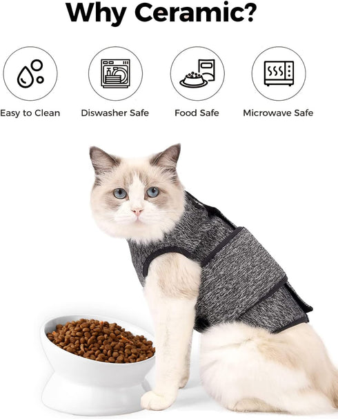 Elevated Cat Food Bowl, 5 Oz Ceramic Raised and Tilted Water Bowl, Anti Vomiting Dishes for Small Dogs and Cats, White