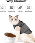 Elevated Cat Food Bowl, 5 Oz Ceramic Raised and Tilted Water Bowl, Anti Vomiting Dishes for Small Dogs and Cats, White