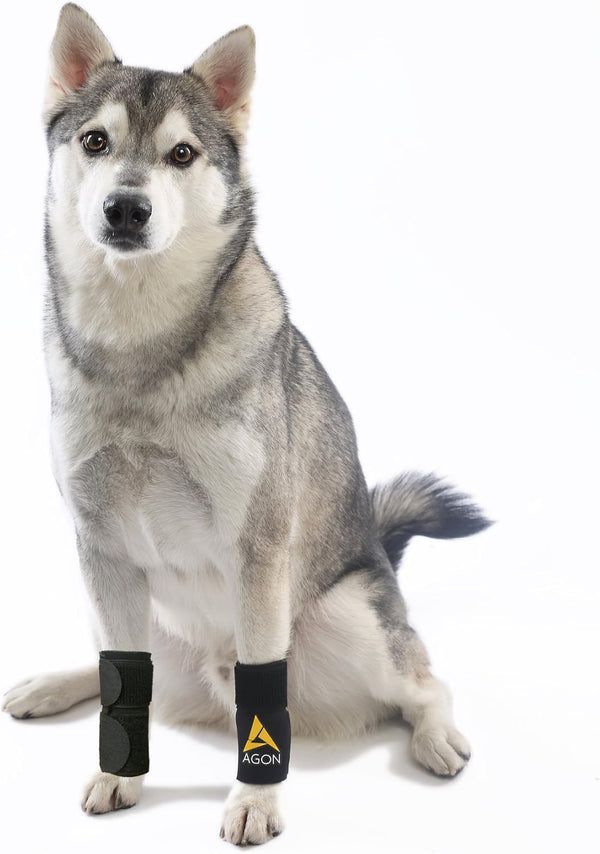AGON Dog Canine Front Leg Brace, Compression Wraps for Wounds, Small/Medium, Helps with Arthritis