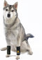 AGON Dog Canine Front Leg Brace, Compression Wraps for Wounds, Small/Medium, Helps with Arthritis