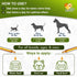 Antibiotics for Dogs and Cats, Natural Antibiotics for Pets, 2 Oz for Health Support