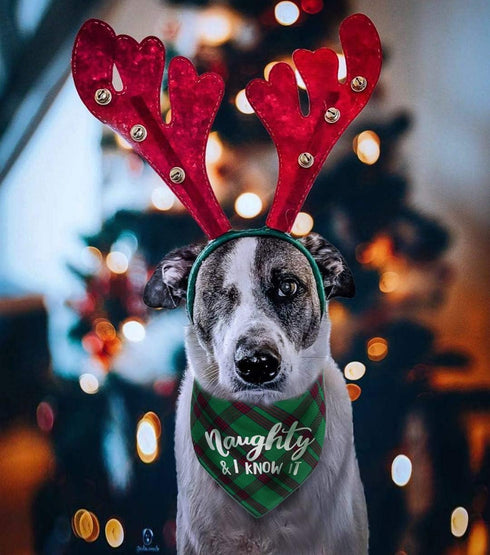 Dog Christmas Bandanas Plaid Reversible Triangle Bibs Scarf Accessories for Dogs and Cats