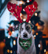 Dog Christmas Bandanas Plaid Reversible Triangle Bibs Scarf Accessories for Dogs and Cats