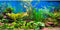 AWERT 48x24 inches Aquarium Background, Aquatic Plant River Bed & Lake Fish Tank Background Vinyl