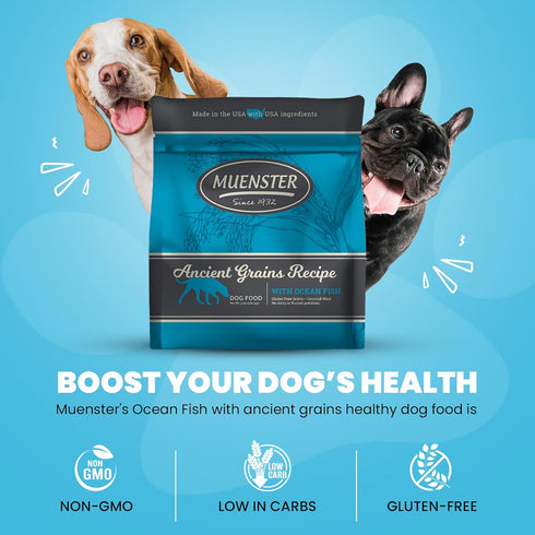 Muenster Ancient Grains Dog Food (4lb) - Ocean Fish Dry Dog Food for Large Dogs – Gluten Free, Non-GMO High Protein