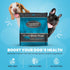 Muenster Ancient Grains Dog Food (4lb) - Ocean Fish Dry Dog Food for Large Dogs – Gluten Free, Non-GMO High Protein