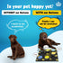 KUL KING’S Dog Talking Button Set - 8 Recordable Buttons, Waterproof Mat, Training Manual, 30s Recording for Dogs