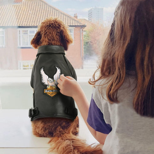Warm Winter Dog Coat for Small and Medium Dogs - Windproof Waterproof Puppy Jacket - Black Large