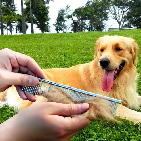 Double-Sided Pet Steel Comb, Stainless Steel Dog Comb in 2 Sizes for Cleaning, Massage, and Grooming