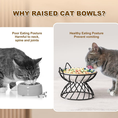Metal Stand for Cat Bowls, Raised Cat Bowl Holder with Anti-Slip Sleeves, Black Iron Anti Vomiting Stand