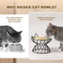 Metal Stand for Cat Bowls, Raised Cat Bowl Holder with Anti-Slip Sleeves, Black Iron Anti Vomiting Stand