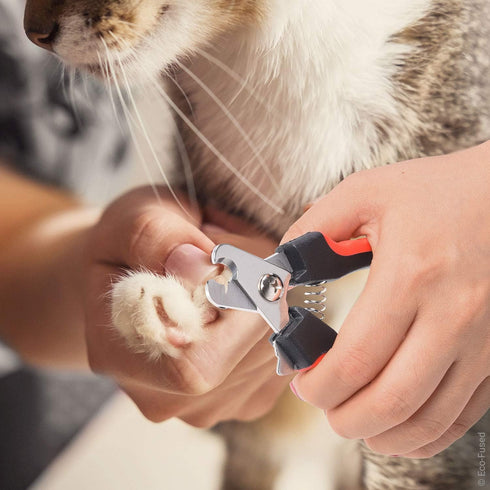 Slicker Brush and Nail Clippers for Dogs, Cats, Essential Grooming Tools for Claw Care and Trimming