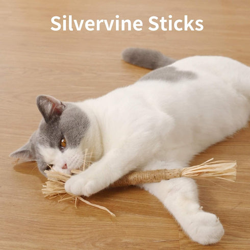 PAZ'S GIFT Catnip Toy, 2pcs Cat Chew Kicking Silvervine Stick, Indoor Interactive Dental Care for Kittens