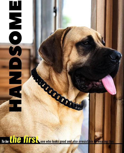 Cuban Link Dog Collar - 3/4 in Wide Metal Chain Collar in Venom Black, Stunning Pet Accessory, Cute Luxury Jewelry 16