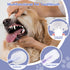 3PCS Pet Toothbrush Kit for Cats and Dogs, Complete Oral Care Set with Soft Bristles for Dental Hygiene