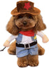 Funny Pet Cat Halloween Costume, Cool West Cowboy Uniform with Hat for Small Dogs & Cats