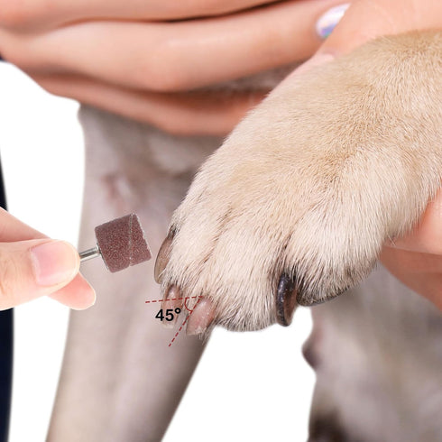 Styquenzer 42 (1/2 Inch 80/120 Pcs Pet Nail Grinder Replacement Kit with Grit Sanding Bands, Pet Smoother Claw Care