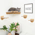 45LBS Cat Wall Shelves with 3 Non-Slips Steps, Space-Saving Mounted Cats Walls