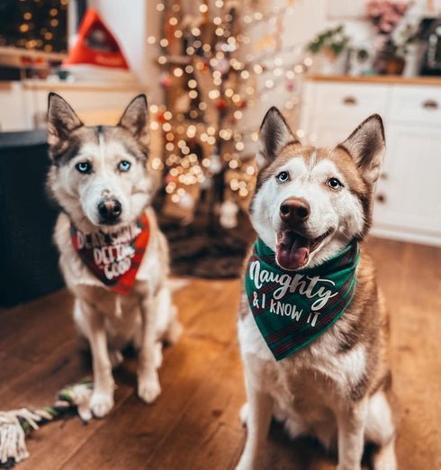 Dog Christmas Bandanas Plaid Reversible Triangle Bibs Scarf Accessories for Dogs and Cats