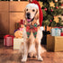 Malier Christmas Classic Plaid Dog Collar with Bow Tie, Soft Durable Holiday Collar for Small Medium Large Dogs (Red &