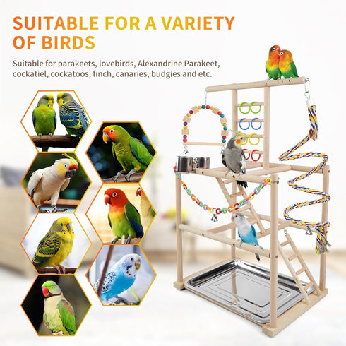 3 Bird Playground, Parrots Playstand for Small to Medium Birds, Perch Stand with Ladders Playgym with Rope Perch
