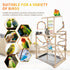 3 Bird Playground, Parrots Playstand for Small to Medium Birds, Perch Stand with Ladders Playgym with Rope Perch