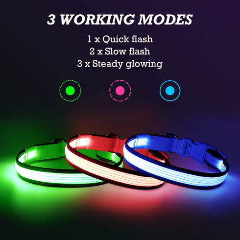 YFbrite Full Adjustable LED Dog Collar, Reflective Light Up Collar for All Dogs Safety (Medium, Blue-2)