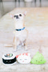 Pearhead Sushi Plush Toys, Durable Squeaky Dog Toy Set, Soft Chew Toys, Gifts for Pet Owners, Set of 3