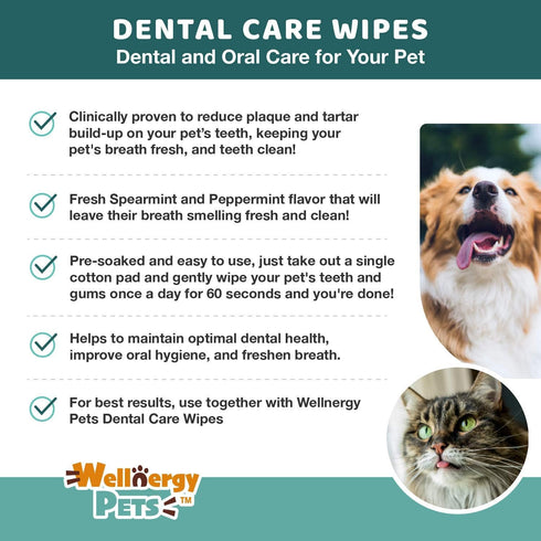 Dental Wipes for Dogs and Cats, No Brush Formula for Oral Hygiene, Fresh Mint Flavor, 100 Wipes