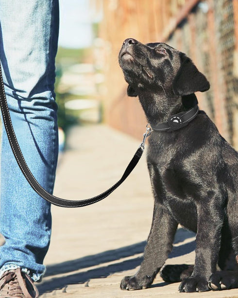 6ft Dog Leash for Small Medium Large Dogs, One-Sided Reflective Nylon with Padded Handle (Black)