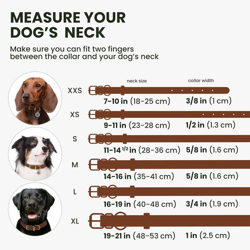 BronzeDog Rolled Leather Dog Collar with QR ID Tag - Adjustable Soft Round Collars for Small Medium Large Dogs Puppy